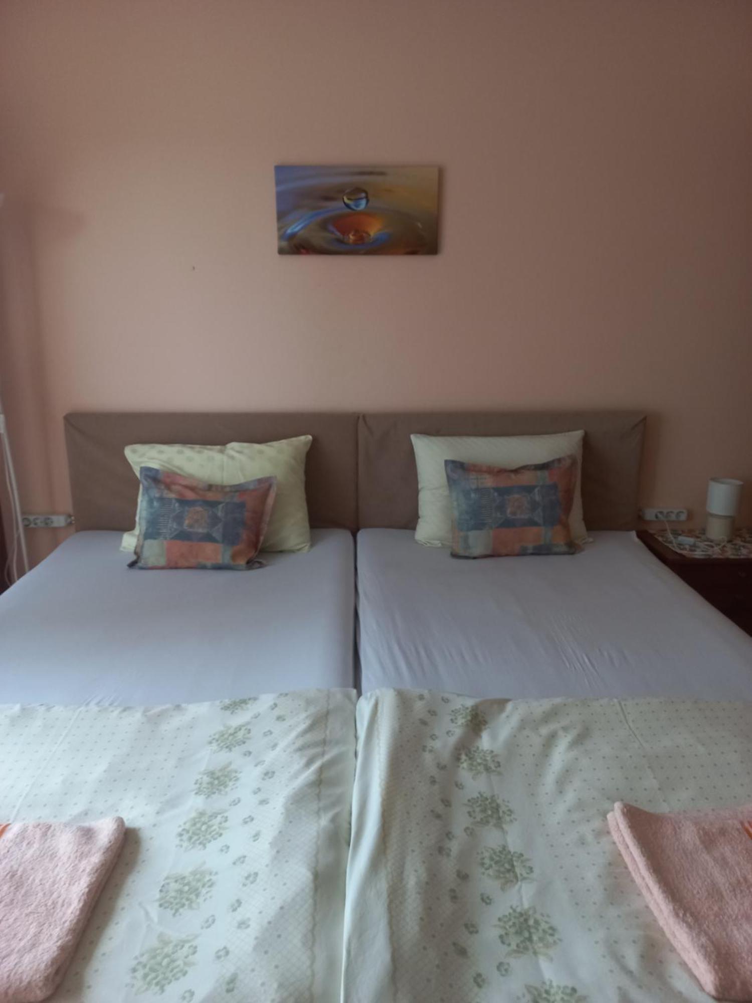 Hostel Bata Kanjiža エクステリア 写真